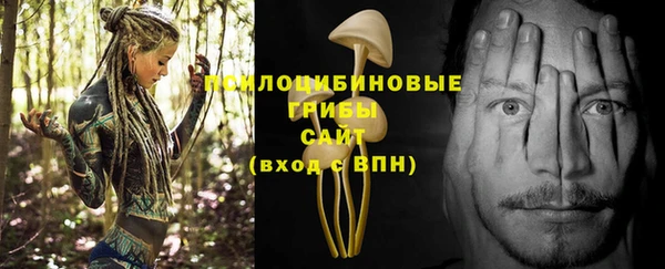 каннабис Алексеевка