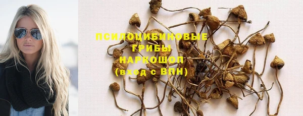 каннабис Алексеевка