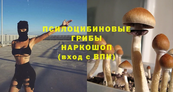 каннабис Алексеевка