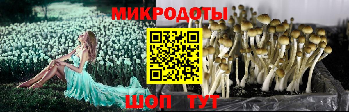 Псилоцибиновые грибы прущие грибы Джанкой