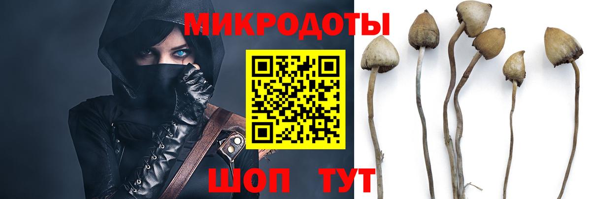 Галлюциногенные грибы GOLDEN TEACHER  Галлюциногенные грибы Cubensis  купить закладку  Вход с VPN  Джанкой 