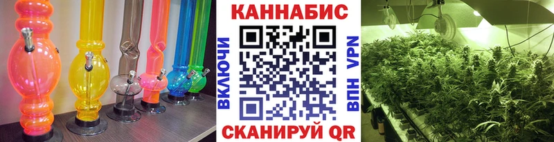 Канабис сатива  Джанкой 